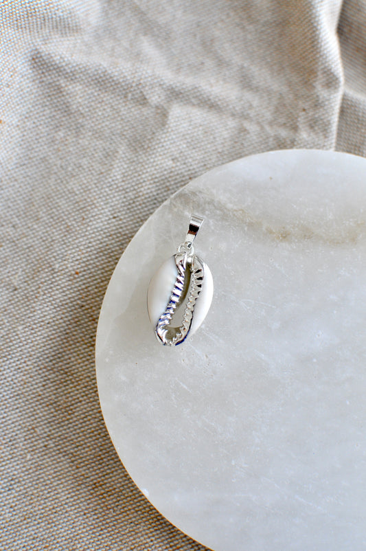 Silver Large Cowrie Shell