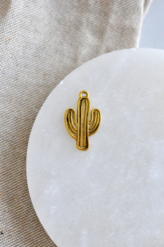 Big Cactus Charm
