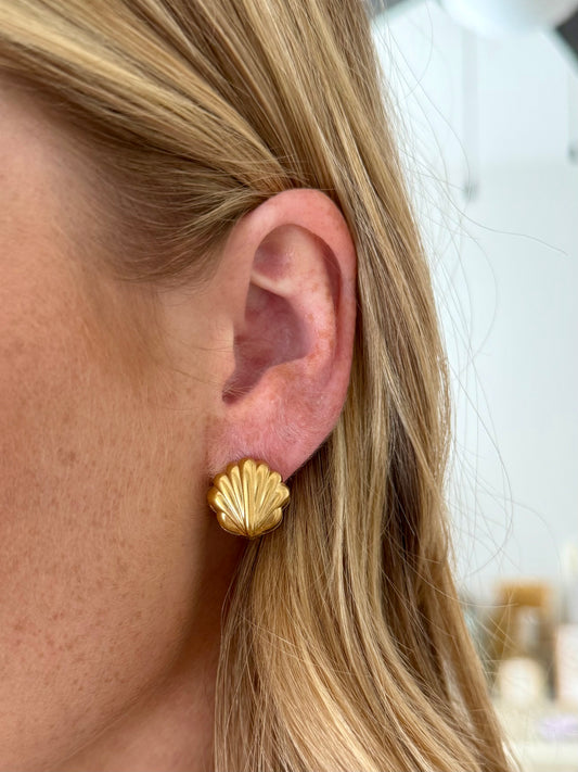 Shell Huggie Earrings